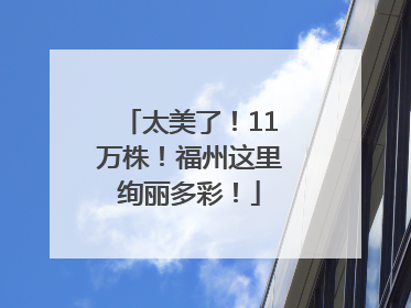 太美了！11万株！福州这里绚丽多彩！